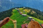 Pokut & Sal yaylası turu Pokut & Sal yaylası turu