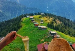 Pokut & Sal yaylası turu
