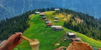 Pokut & Sal yaylası turu