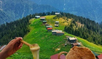 Pokut & Sal yaylası turu