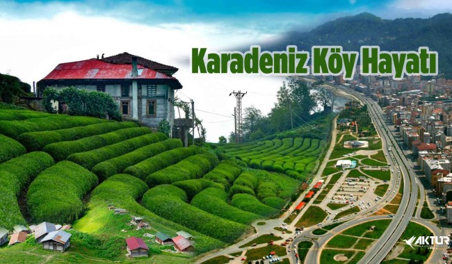 Karadeniz Köy Hayatı Turu – Rize’nin Doğasında Günübirlik Otantik Yaşam Deneyimi
