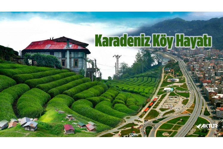 Karadeniz Köy Hayatı Turu – Rize’nin Doğasında Günübirlik Otantik Yaşam Deneyimi