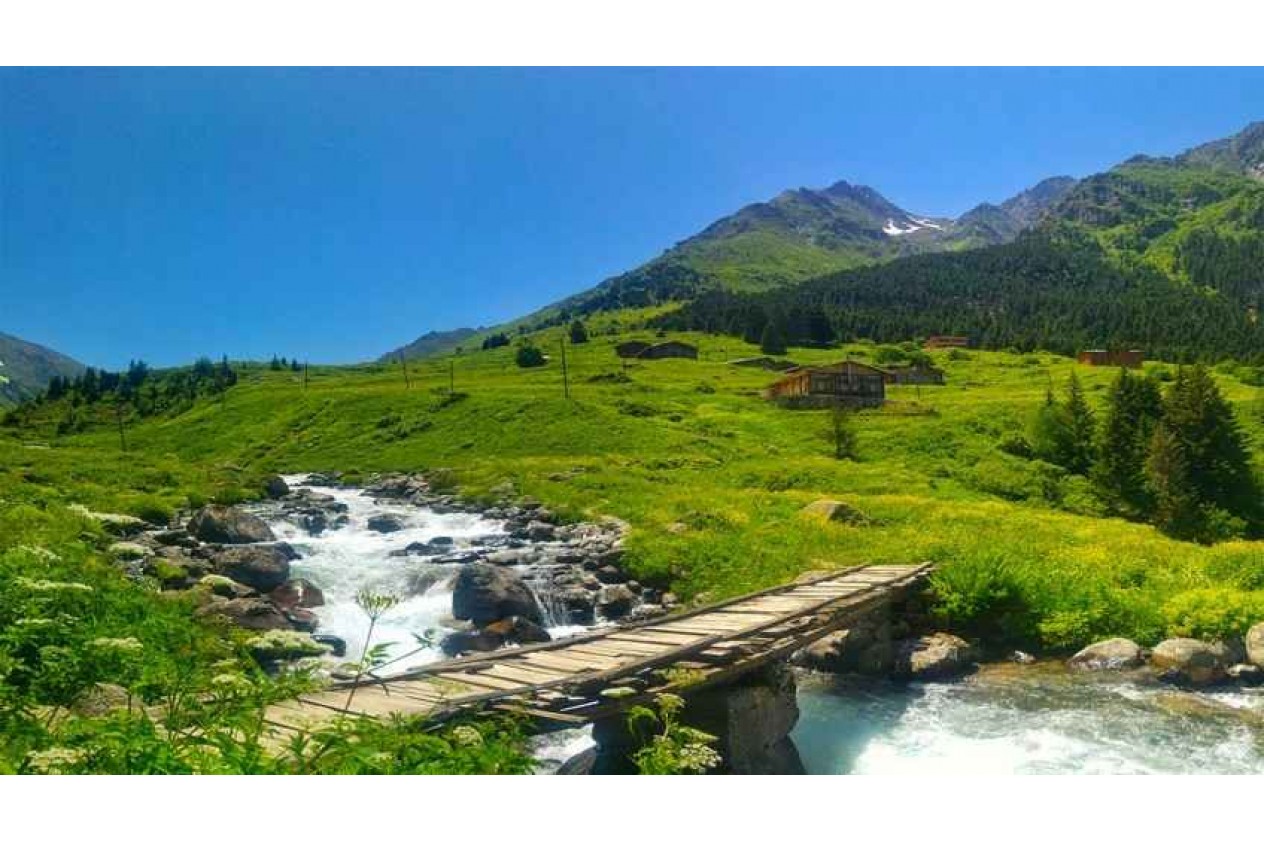 Rize Günübirlik Turlar Rize Günübirlik Turlar