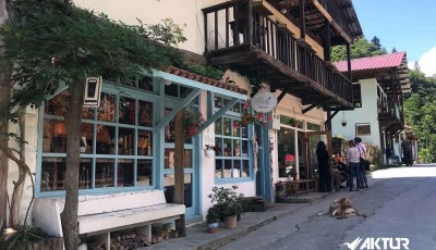 Pokut & Sal yaylası turu