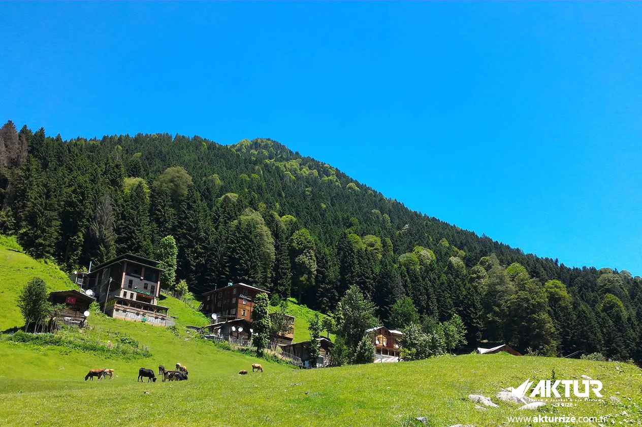 Ayder Yaylası Turu