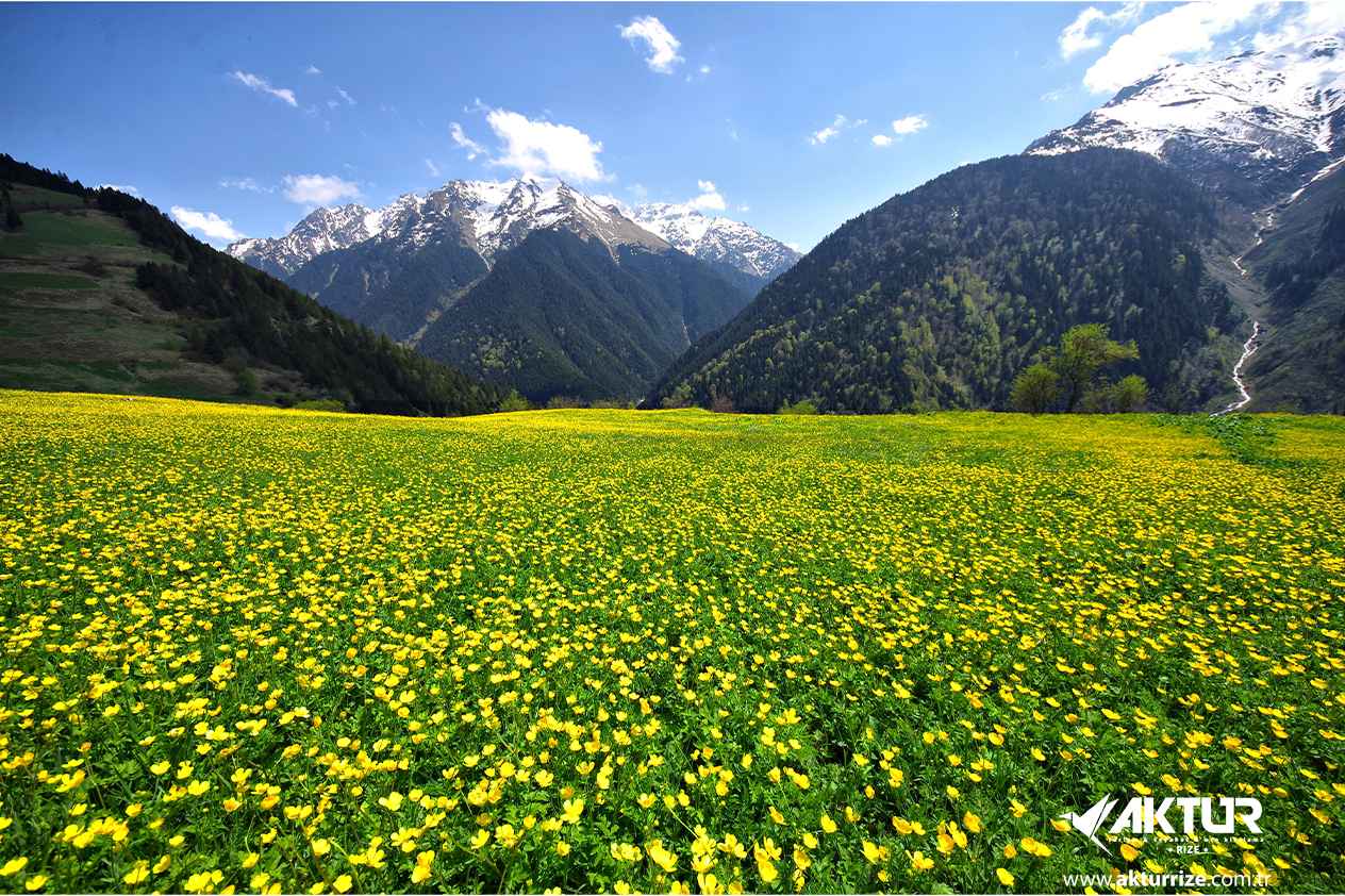 Elevit Yaylası Turu