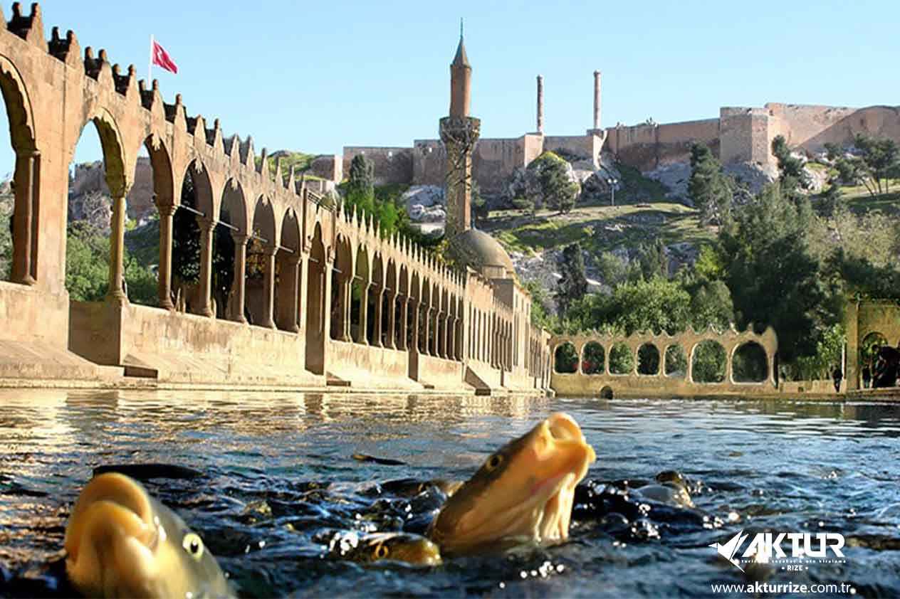 Rize Çıkışlı GAP Turu