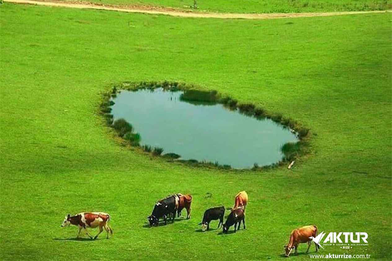 Gito ve Badara Yaylası Turu