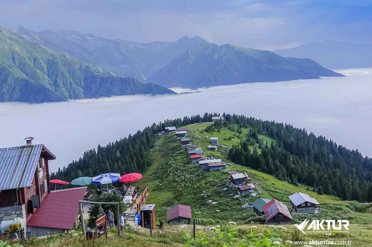 Double Huser – Pokut Turu