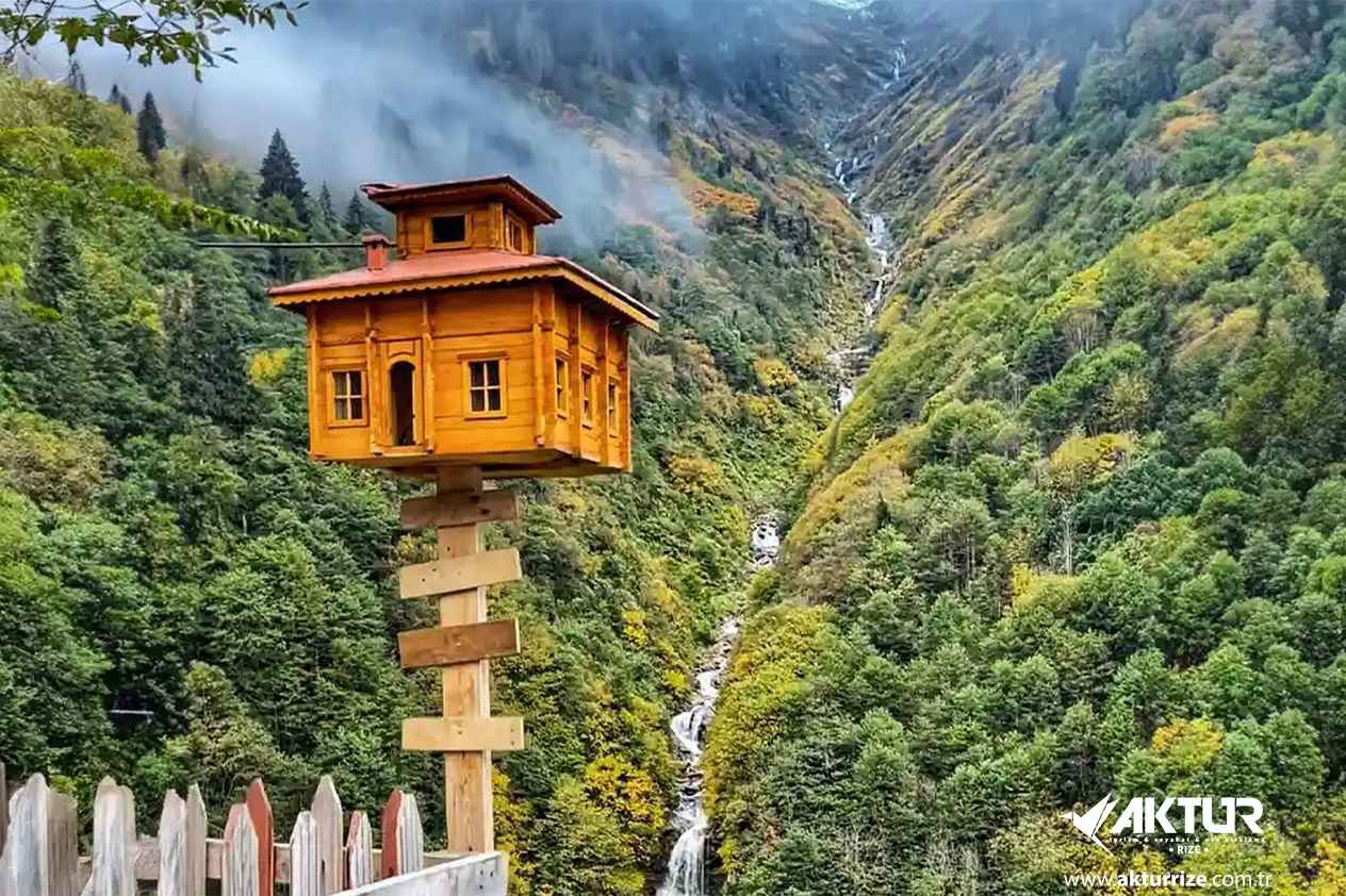 Double Huser – Pokut Turu