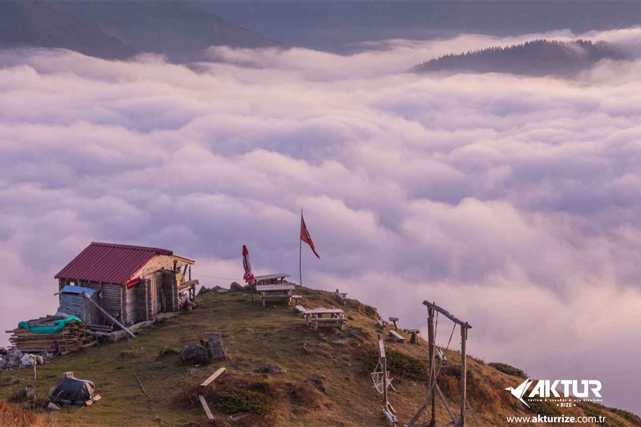 Double Huser – Pokut Turu