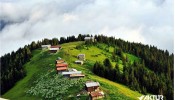 Double Huser – Pokut Turu
