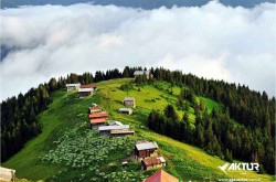 Double Huser – Pokut Turu