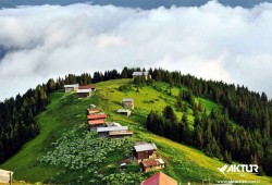 Double Huser – Pokut Turu