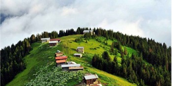 Double Huser – Pokut Turu