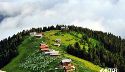 Double Huser – Pokut Turu