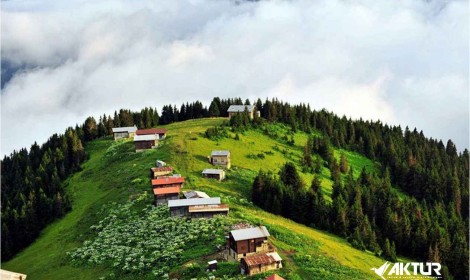 Double Huser – Pokut Turu