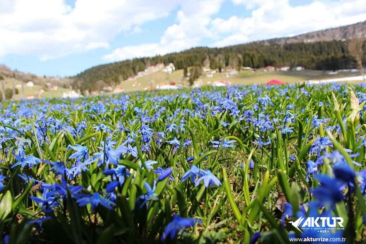 Kadıralak Yaylası (Mor Yayla) Turu