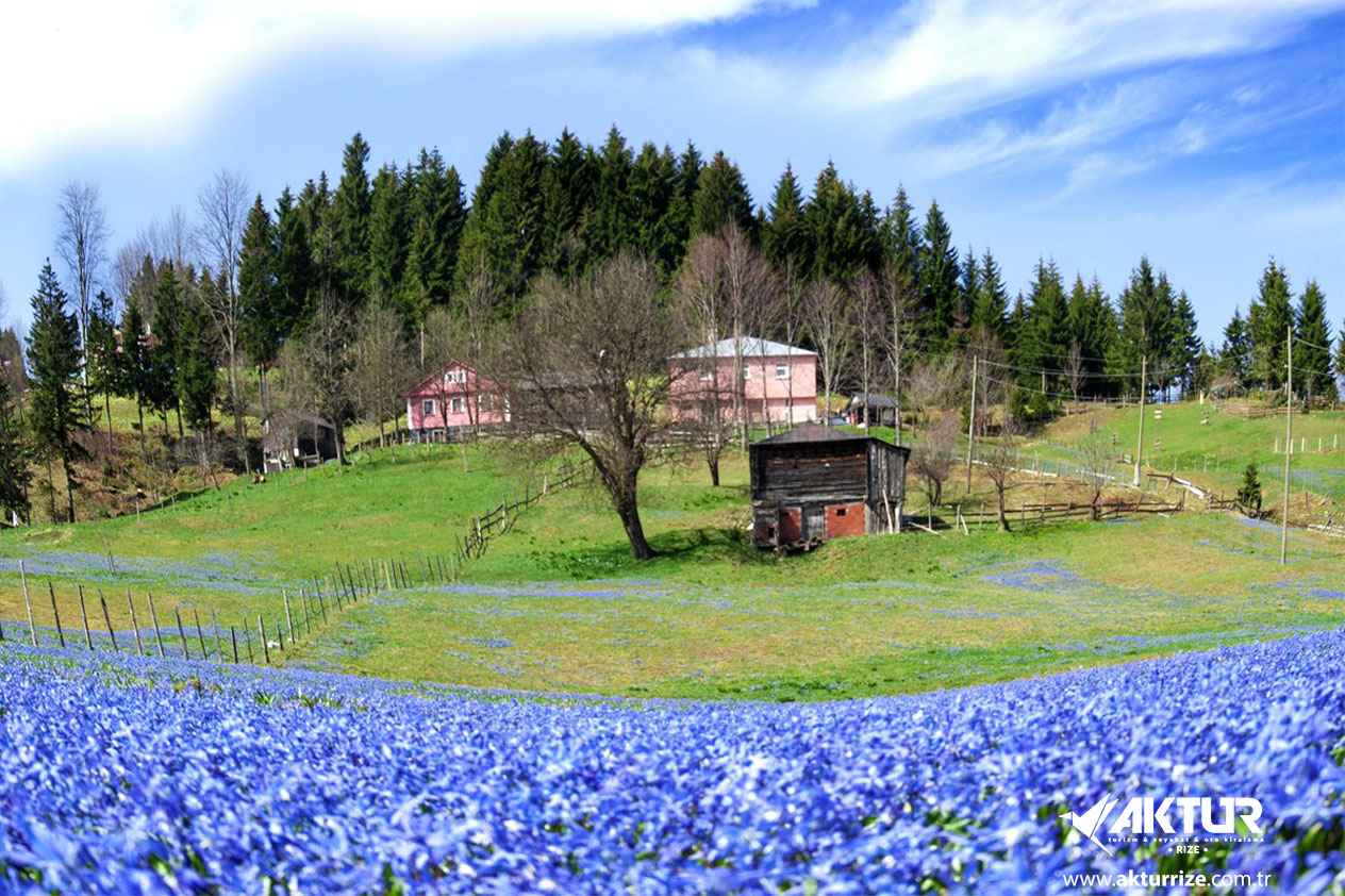 Kadıralak Yaylası (Mor Yayla) Turu