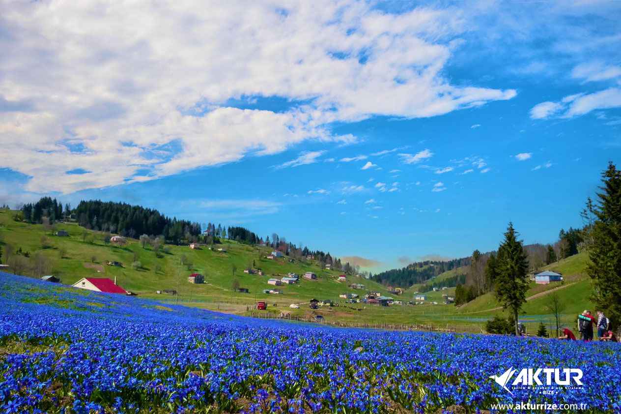 Kadıralak Yaylası (Mor Yayla) Turu