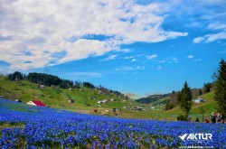 Kadıralak Yaylası (Mor Yayla) Turu