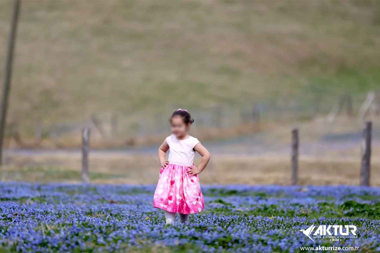 Kadıralak Yaylası (Mor Yayla) Turu