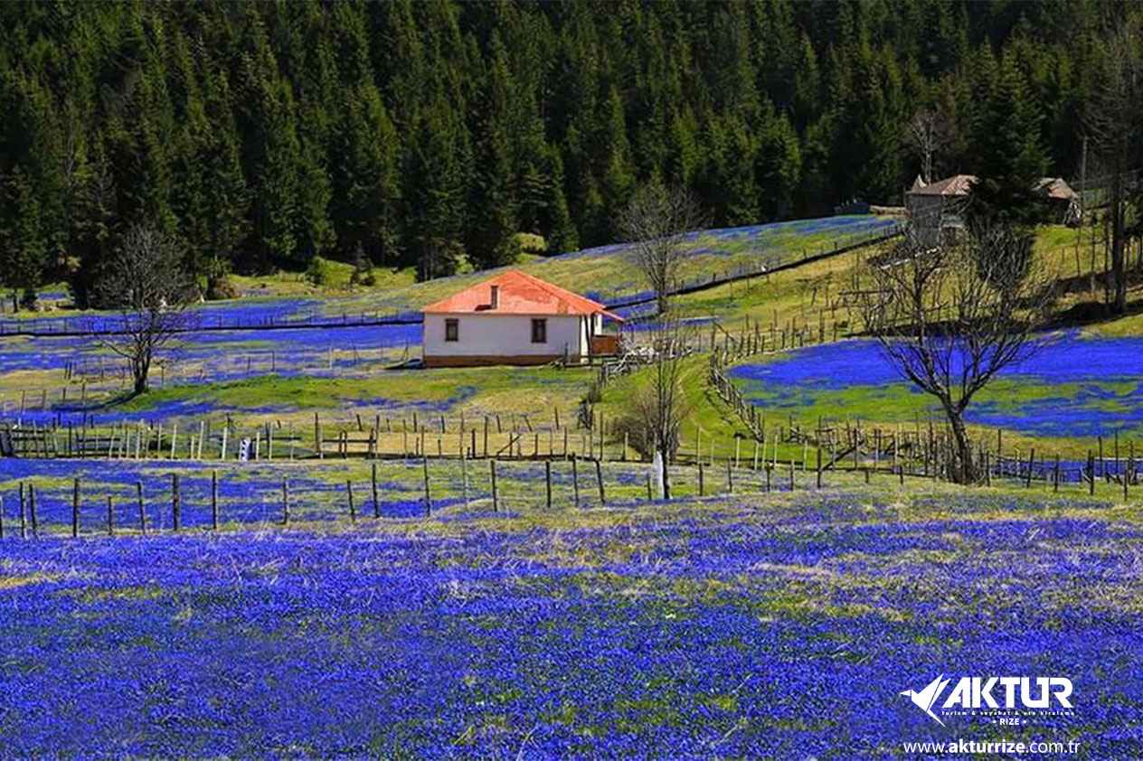 Kadıralak Yaylası (Mor Yayla) Turu