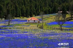 Kadıralak Yaylası (Mor Yayla) Turu