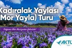 Kadıralak Yaylası (Mor Yayla) Turu Kadıralak Yaylası (Mor Yayla) Turu