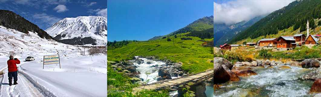Elevit Yaylası bahar mevsimi manzarası, Karadeniz yayla doğası ve yeşil vadiler