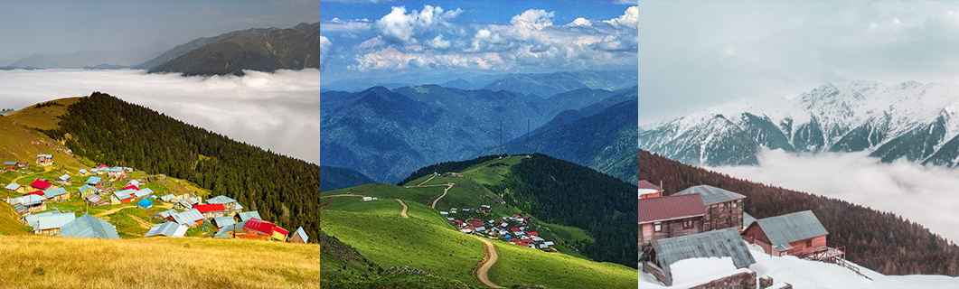 Gito Yaylası bahar mevsimi sisli doğa manzarası, Karadeniz yayla yeşilliği ve bulut denizi