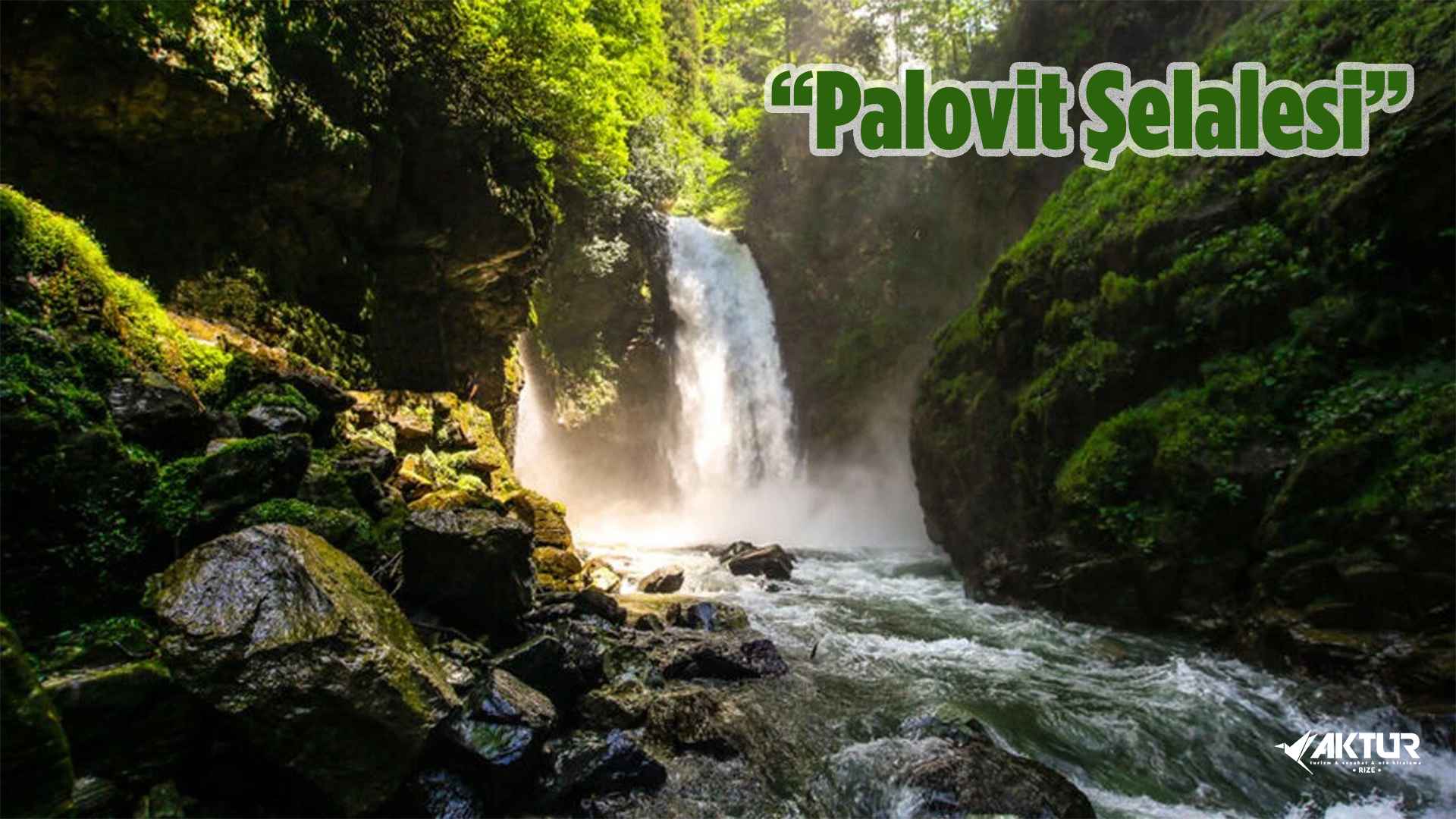 Rize Palovit Şelalesi – Karadeniz’in en güçlü doğal şelalelerinden biri