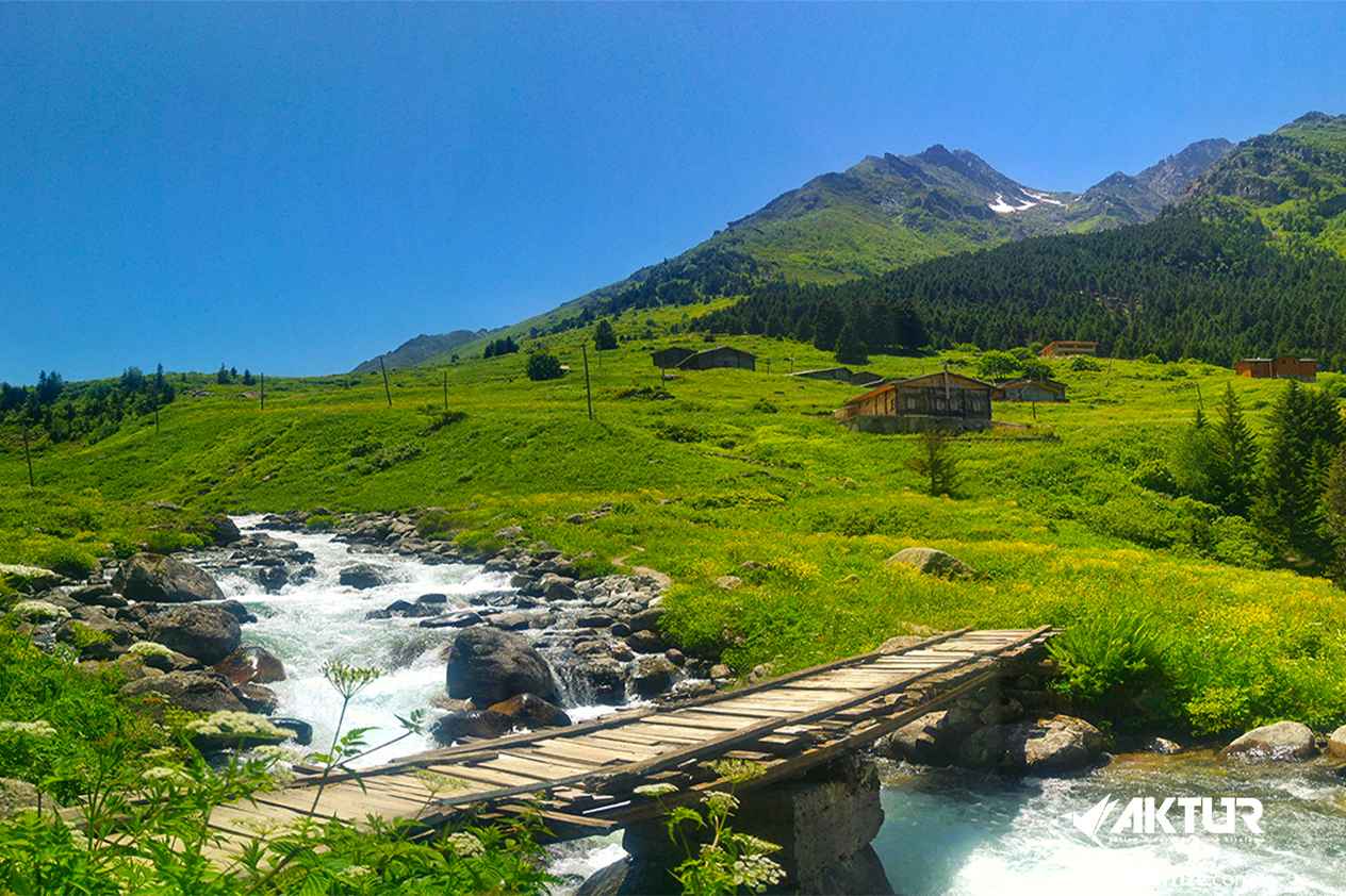 Elevit Yaylası turu, Rize Elevit Yaylası doğa manzarası ve Karadeniz yayla gezileri