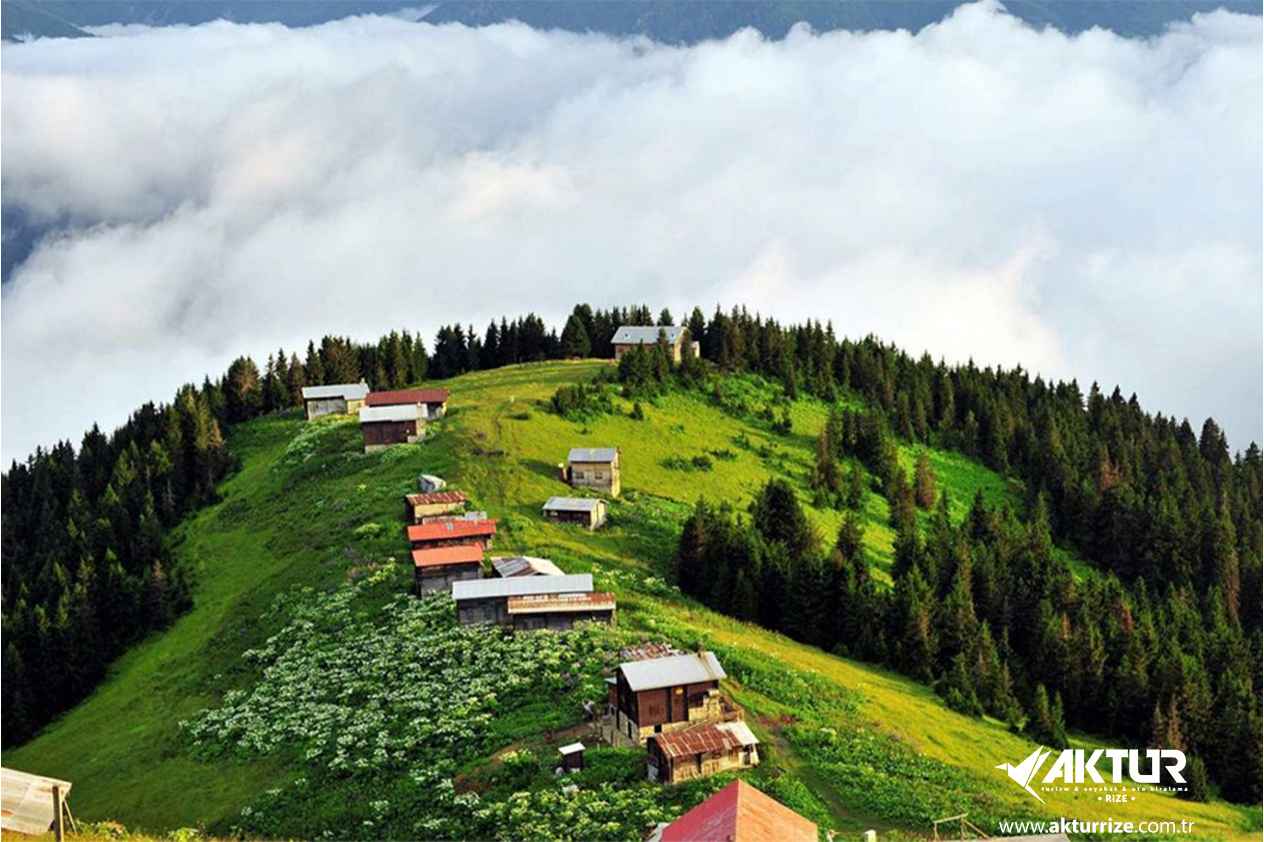 Pokut Yaylası turu, Rize Pokut Yaylası bulut denizi ve Karadeniz yayla manzarası